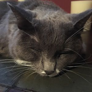 Meet your Posher, Carrie